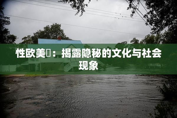 性欧美婬：揭露隐秘的文化与社会现象