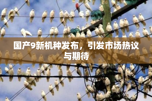 国产9新机种发布，引发市场热议与期待