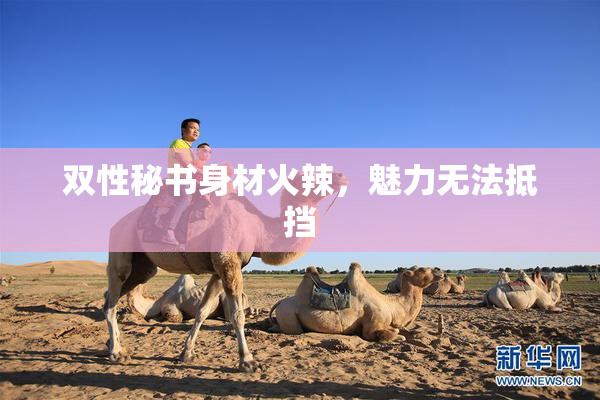 双性秘书身材火辣，魅力无法抵挡