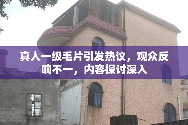真人一级毛片引发热议，观众反响不一，内容探讨深入