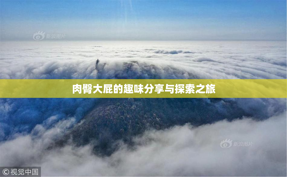 肉臀大屁的趣味分享与探索之旅