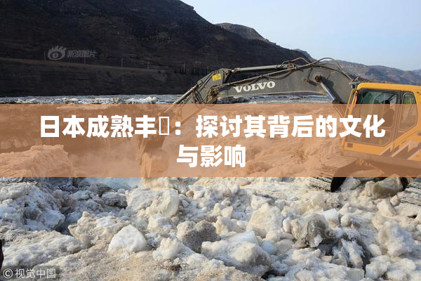 日本成熟丰滿：探讨其背后的文化与影响