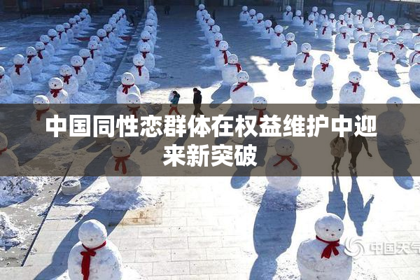 中国同性恋群体在权益维护中迎来新突破