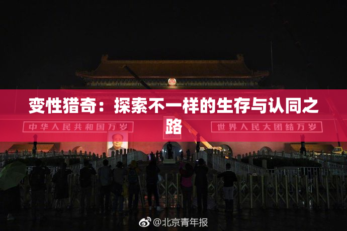 变性猎奇：探索不一样的生存与认同之路