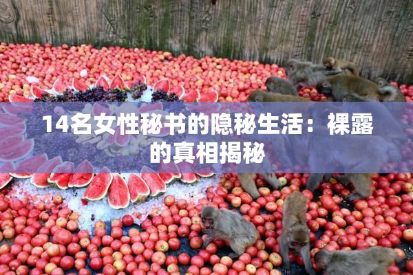 14名女性秘书的隐秘生活：裸露的真相揭秘