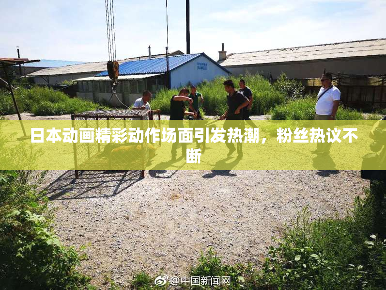日本动画精彩动作场面引发热潮，粉丝热议不断
