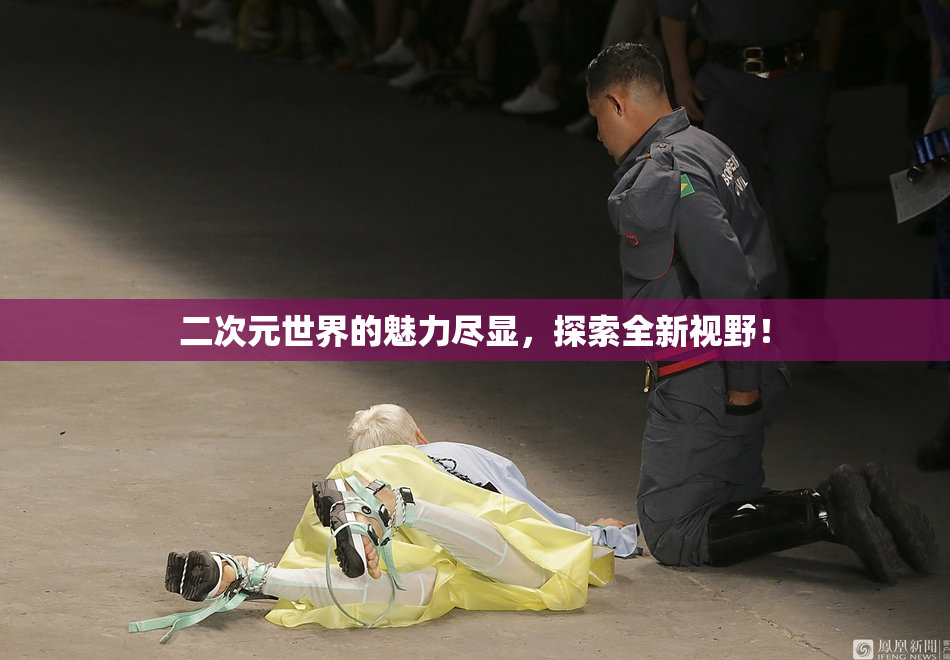 二次元世界的魅力尽显，探索全新视野！