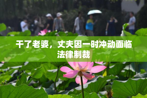 干了老婆，丈夫因一时冲动面临法律制裁