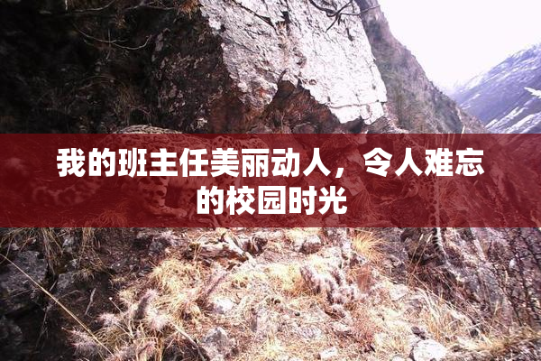 我的班主任美丽动人，令人难忘的校园时光