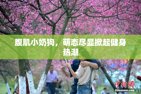 腹肌小奶狗，萌态尽显掀起健身热潮