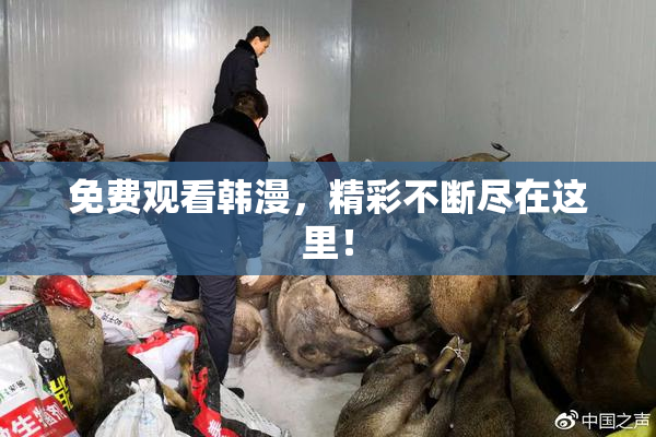 免费观看韩漫，精彩不断尽在这里！
