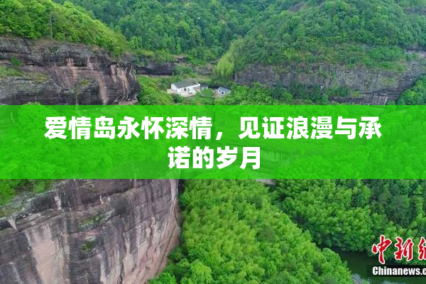 爱情岛永怀深情，见证浪漫与承诺的岁月