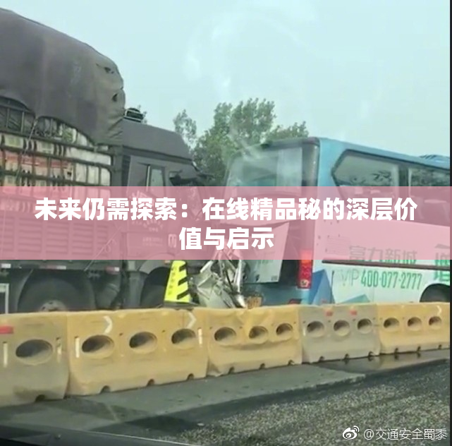 未来仍需探索：在线精品秘的深层价值与启示