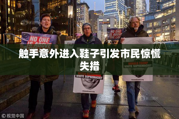 触手意外进入鞋子引发市民惊慌失措