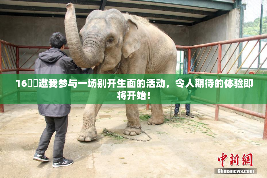 16妺妺邀我参与一场别开生面的活动，令人期待的体验即将开始！