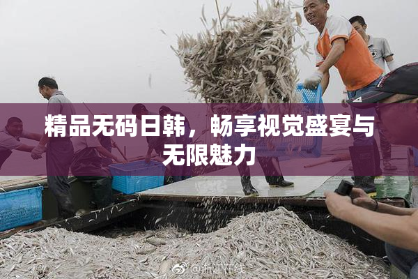 精品无码日韩，畅享视觉盛宴与无限魅力