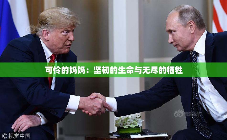 可怜的妈妈：坚韧的生命与无尽的牺牲