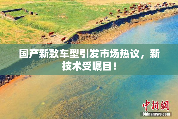 国产新款车型引发市场热议，新技术受瞩目！