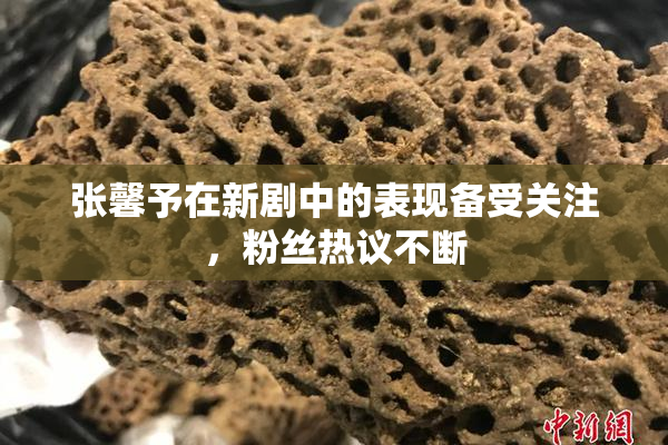 张馨予在新剧中的表现备受关注，粉丝热议不断