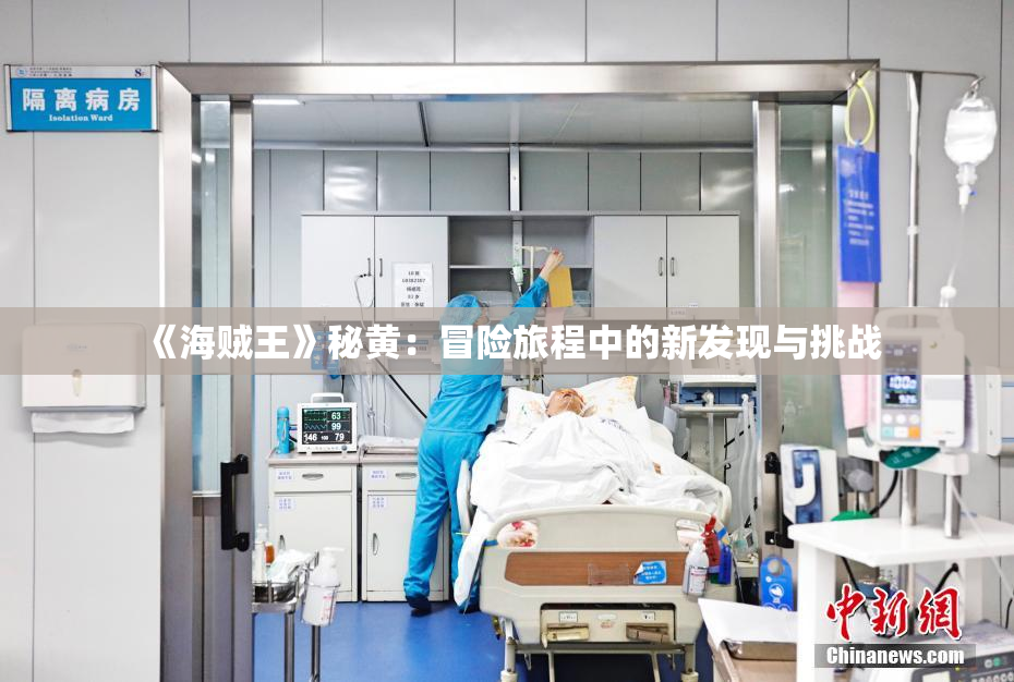 《海贼王》秘黄：冒险旅程中的新发现与挑战