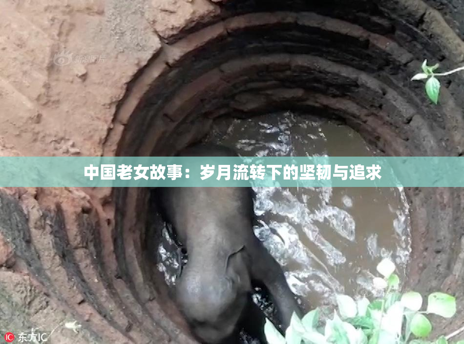中国老女故事：岁月流转下的坚韧与追求