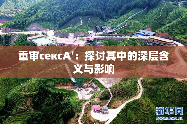 重审сексA′：探讨其中的深层含义与影响