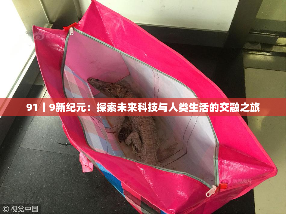 91丨9新纪元：探索未来科技与人类生活的交融之旅