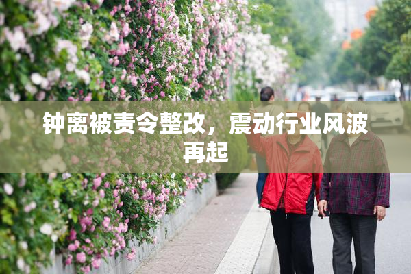 钟离被责令整改，震动行业风波再起