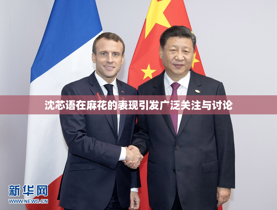 沈芯语在麻花的表现引发广泛关注与讨论