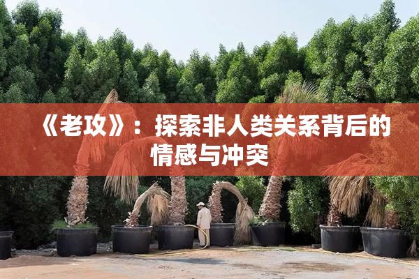 《老攻》：探索非人类关系背后的情感与冲突