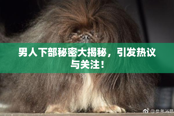 男人下部秘密大揭秘，引发热议与关注！