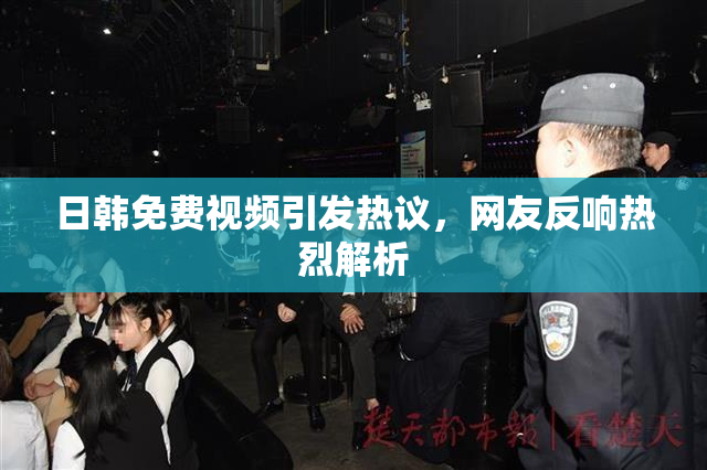 日韩免费视频引发热议，网友反响热烈解析