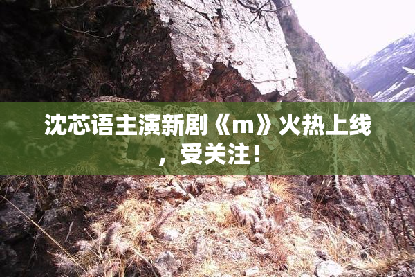 沈芯语主演新剧《m》火热上线，受关注！
