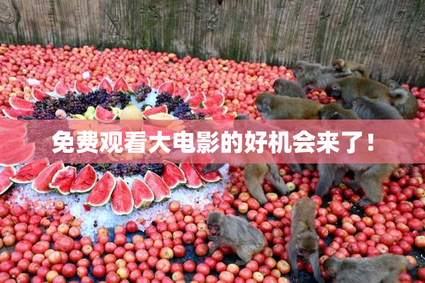 免费观看大电影的好机会来了！