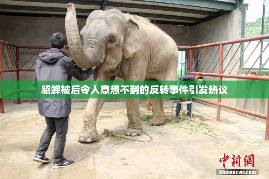 貂蝉被后令人意想不到的反转事件引发热议