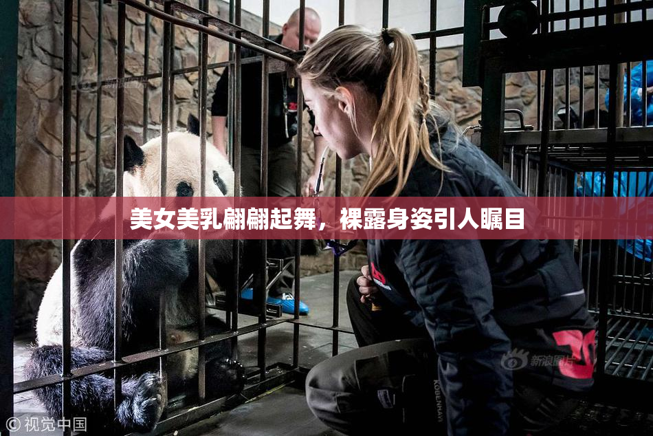 美女美乳翩翩起舞，裸露身姿引人瞩目