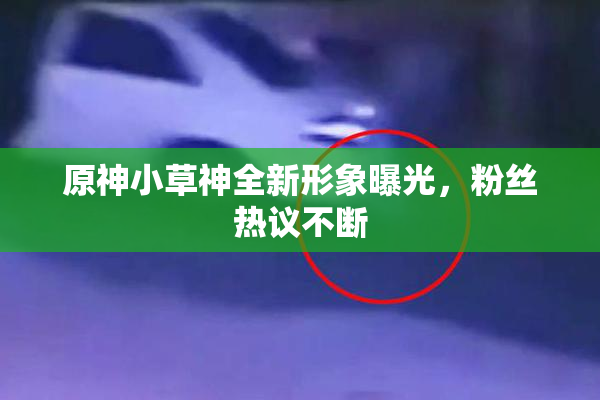 原神小草神全新形象曝光，粉丝热议不断