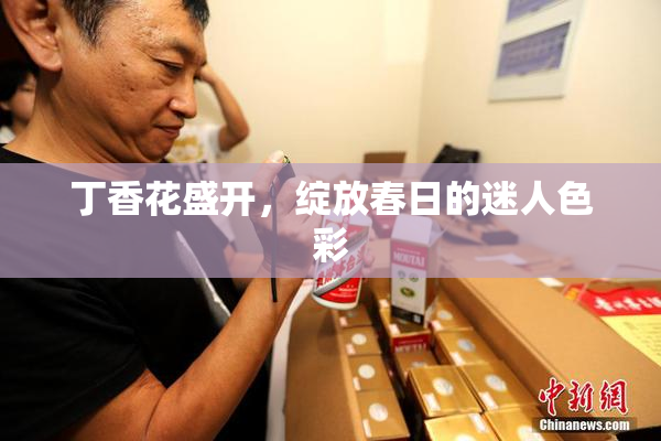 丁香花盛开，绽放春日的迷人色彩