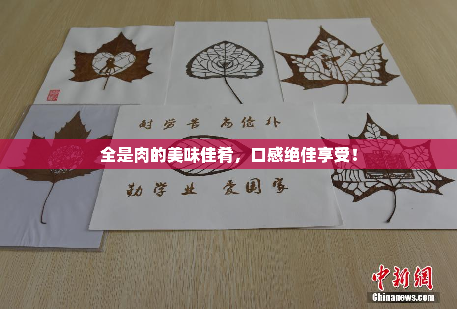 全是肉的美味佳肴，口感绝佳享受！