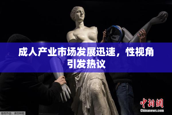成人产业市场发展迅速，性视角引发热议