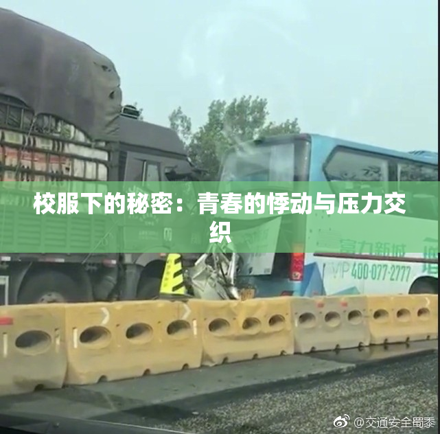 校服下的秘密：青春的悸动与压力交织