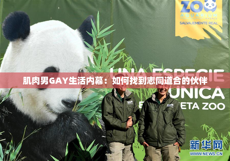 肌肉男GAY生活内幕：如何找到志同道合的伙伴