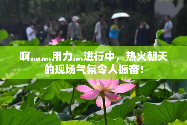 啊灬灬用力灬进行中，热火朝天的现场气氛令人振奋！