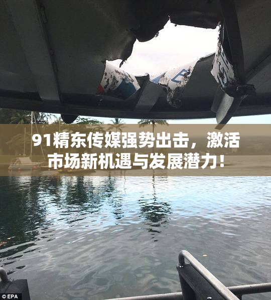 91精东传媒强势出击，激活市场新机遇与发展潜力！