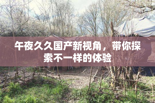 午夜久久国产新视角，带你探索不一样的体验