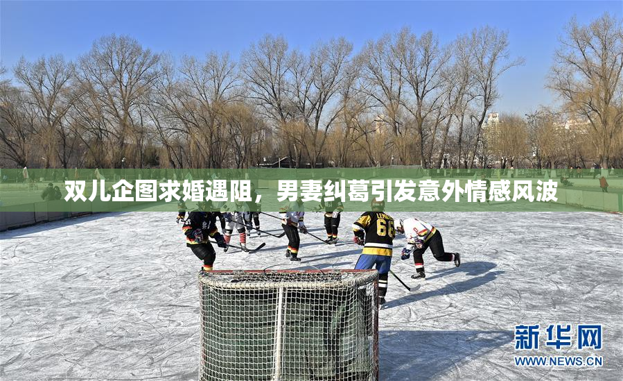双儿企图求婚遇阻，男妻纠葛引发意外情感风波