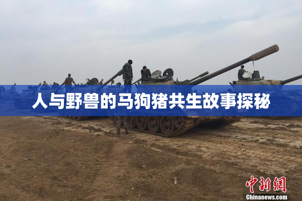 人与野兽的马狗猪共生故事探秘
