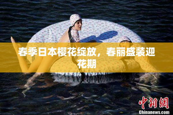 春季日本樱花绽放，春丽盛装迎花期