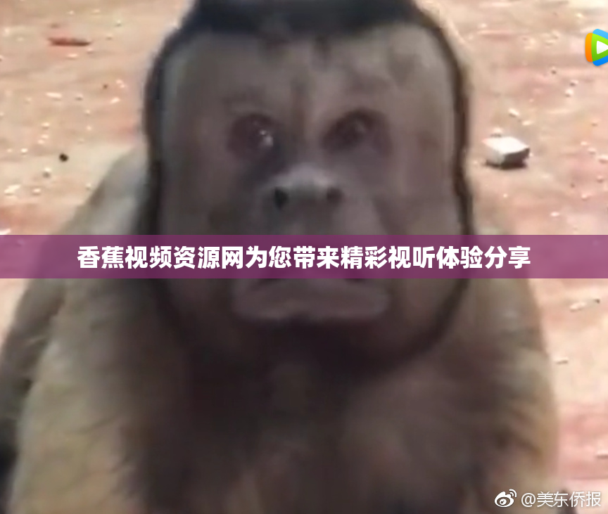 香蕉视频资源网为您带来精彩视听体验分享