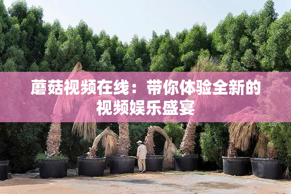 蘑菇视频在线：带你体验全新的视频娱乐盛宴